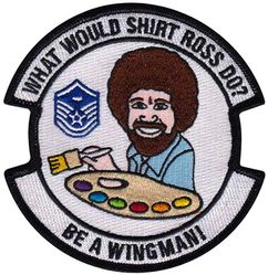 9th Reconnaissance Wing Morale
