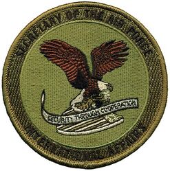 Secretary of the Air Force International Affairs
Keywords: OCP