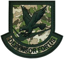 Security Forces Enlisted Beret Flash
Keywords: PVC