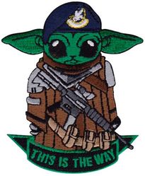 31st Security Forces Squadron Alpha Flight
