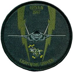 422d Test & Evaluation Squadron F-35 Pilot
