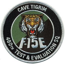 460th Test & Evaluation Squadron F-15E Pilot
