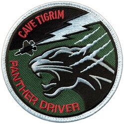 460th Test & Evaluation Squadron F-35 Pilot
