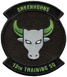 12th Training Squadron
