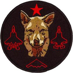 411th Flight Test Squadron F-22 Combined Test Force Morale
