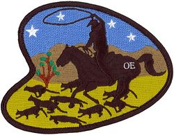 419th Flight Test Squadron Morale
