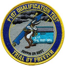 717th Test Squadron Test Cell T-11

