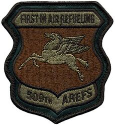 509th Weapons Squadron Heritage
Keywords: OCP