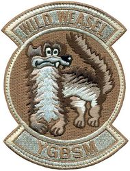 Wild Weasel Morale
