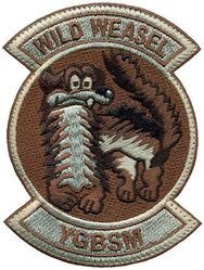 Wild Weasel Morale
