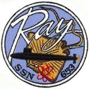 653-1-RAY.jpg