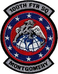 100th Fighter Squadron
