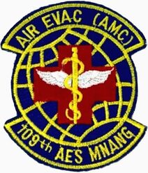109th Aeromedical Evacuation Squadron

