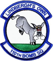 110th Bomb Squadron
