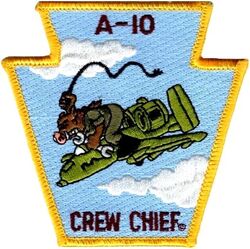 111th Maintenance Squadron A-10 Crew Chief
