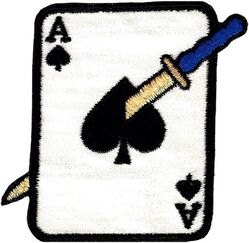 116th Fighter-Interceptor Squadron
Sword penetrates through card, twill version. 1960s era.
