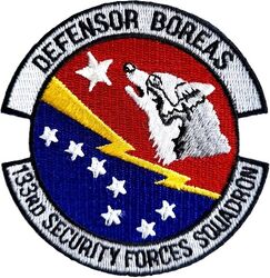 133d Security Forces Squadron
