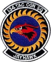 134th Tactical Control Squadron
