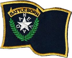 152d Tactical Reconnaissance Group Nevada Flag
Old design, Nevada changed some flag details in 1991. Aircrew have traditionally worn this on the left shoulder instead of a unit patch. Background is a very dark blue.
