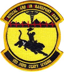 153d Medical Group Critical Care Air Transport Team
