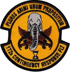 172d Contingency Response Flight

