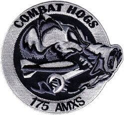 175th Aircraft Maintenance Squadron A-10
