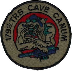 179th Tactical Reconnaissance Squadron 
Keywords: subdued