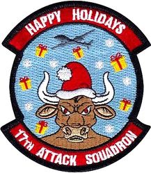 17th Attack Squadron Morale
