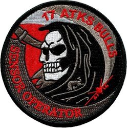 17th Attack Squadron MQ-9 Sensor Operator
