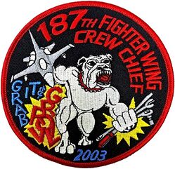 187th Aircraft Maintenance Squadron F-16 Crew Chief 2003
