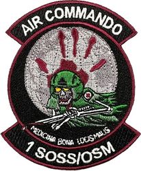 1st Special Operations Support Squadron Operational Medicine Flight
