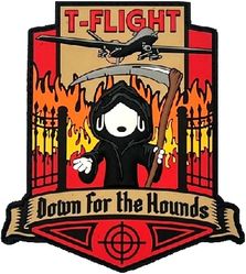 20th Attack Squadron T Flight
Keywords: PVC