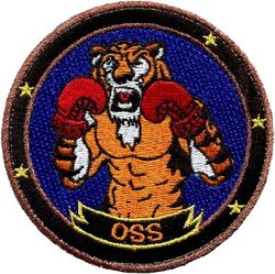 23d Operations Support Squadron Morale
