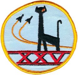 25th Cadet Squadron 
