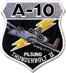 25th Fighter Squadron A-10
