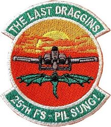 25th Fighter Squadron A-10 Retirement
Korean made.
