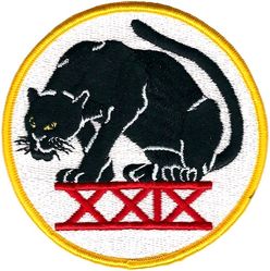 29th Cadet Squadron 
