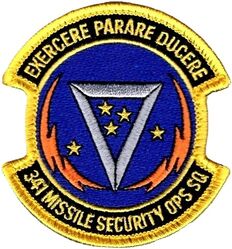 341st Missile Security Operations Squadron
