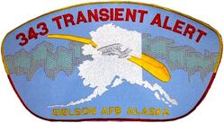 343d Equipment Maintenance Squadron Transient Alert Section
Back patch.
