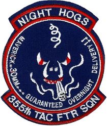 355th Tactical Fighter Squadron A-10
First version.
