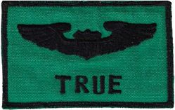356th Tactical Fighter Squadron Name Tag
Pilot wings, Japan made.

