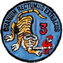 3576th Pilot Training Squadron Flight 3
"Latin" is get your head out of your butt.
