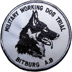 36th Security Police Squadron Military Working Dog Trial
