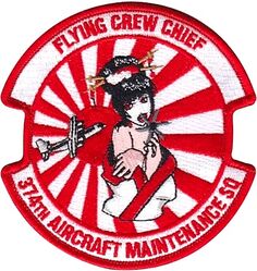 374th Aircraft Maintenance Squadron Flying Crew Chief
