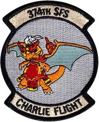 374th Security Forces Squadron C Flight
