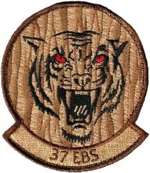 37th Expeditionary Bomb Squadron Operation INHERENT RESOLVE 2015-2016
Forward based at Al Udeid AB, Qatar.
Keywords: Desert