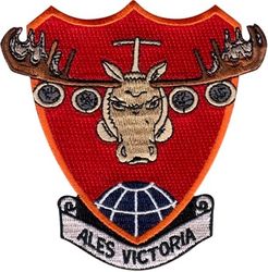 385th Air Expeditionary Group C-17 Morale
