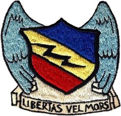 388th Fighter-Bomber Wing
German made.
