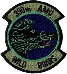 390th Aircraft Maintenance Unit
F-15C era.
Keywords: subdued