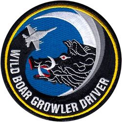 390th Electronic Combat Squadron EA-18G Pilot
